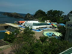 越前松島水族館の画像