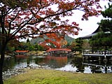 紫式部公園の画像　福井県の観光地