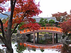 紫式部公園の紅葉の画像