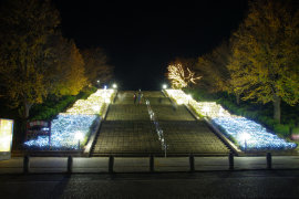 西山公園のライトアップの画像