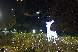 西山公園のライトアップの画像