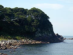 越前海岸　雄島の画像