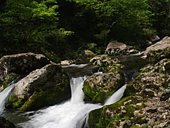 竹田川渓谷上流の画像