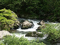 竹田川渓谷と龍ヶ鼻ダムの画像