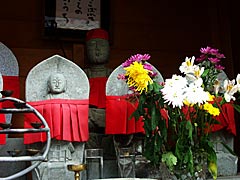 越前市旧武生のお寺巡り　月光寺の画像