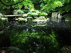 瀧谷寺の竜泉庭の画像