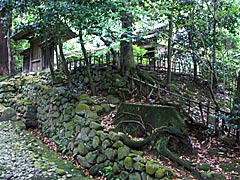 瀧谷寺の画像