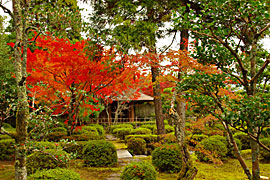 越前陶芸村の画像