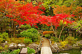 越前陶芸村の画像