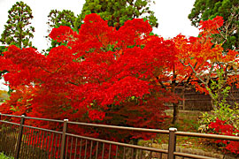 越前陶芸村の画像