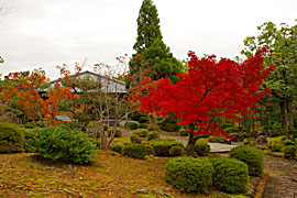 越前陶芸村の画像