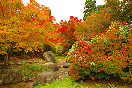 越前陶芸村の画像