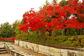 越前陶芸村の画像