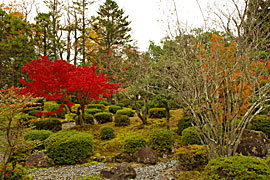 越前陶芸村の画像