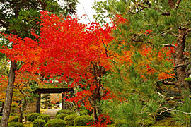 越前陶芸村の画像