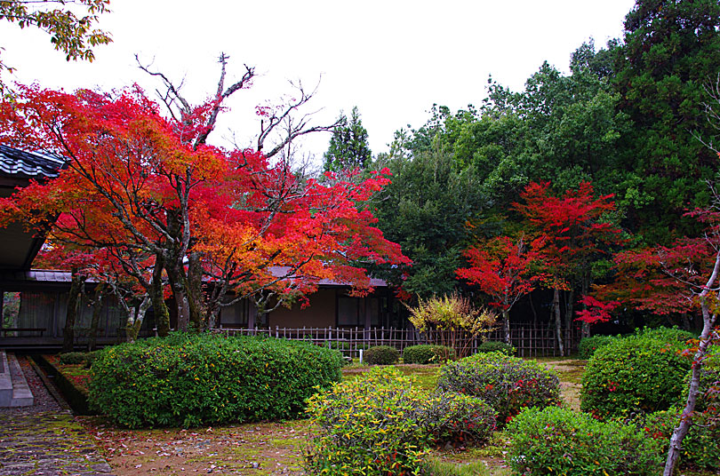 越前陶芸村の画像　茶苑の庭