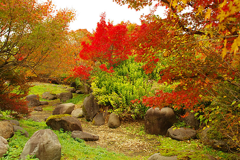 越前陶芸村の画像　草月陶房の庭園