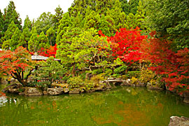 越前陶芸村の画像