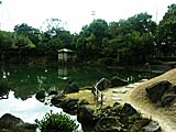 養浩館庭園（旧御泉水屋敷）の画像　福井県の観光地