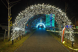 ゆりの里公園のライトアップの画像