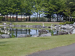 北部公園のひごいの池の画像