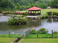 金沢市キゴ山ふれあいの里の水鳥のすむ池の画像