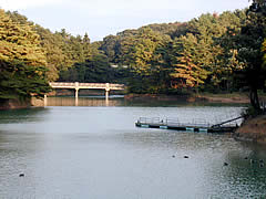 憩いの森の橋の綺麗な池の画像