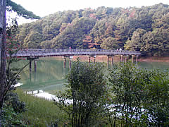 憩いの森の橋の綺麗な池の画像
