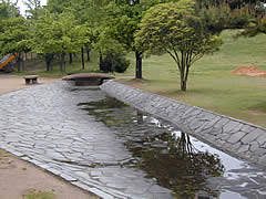 松任グリーンパークの水遊びできる小川の画像