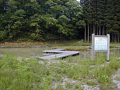 石川県森林公園のトンボの池の画像