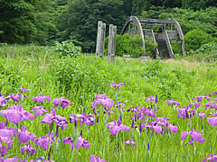 石川県森林公園の画像