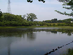 うのけ総合公園の池の画像