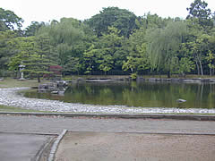 若宮公園の池の画像