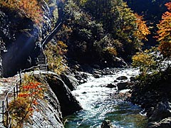 白山スーパー林道の姥ケ滝への散策路の画像
