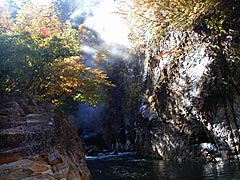白山スーパー林道の親谷の湯近くの温泉から湧き出た湯煙の画像