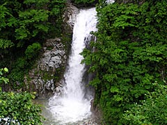 白山スーパー林道の岩底の滝の画像