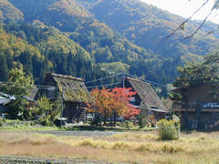 白川郷の合掌造り集落の画像