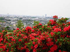 大乗寺丘陵総合公園から眺望の画像