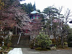 医王寺の桜の画像