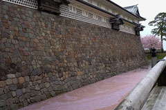 金沢城の桜の画像