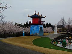 加賀市中央公園のさくらの画像