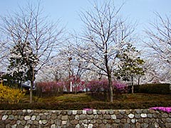 志雄町の志乎・桜の里古墳公園の画像