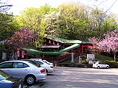 倶利伽羅公園の八重桜の画像