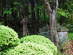 明専寺の庭の画像