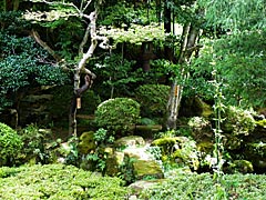 明専寺の庭の画像