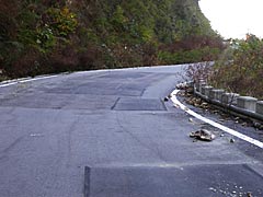 落石もところどころにある犀鶴林道の画像