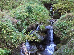 犀鶴林道の渓流の画像