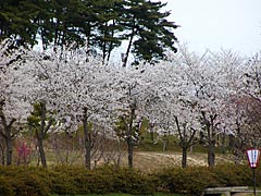 志雄町の百虎山公園の画像
