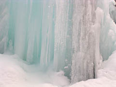 秋神温泉の氷点下の森の画像