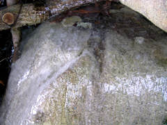 石もツルツル　秋神温泉の氷点下の森の画像